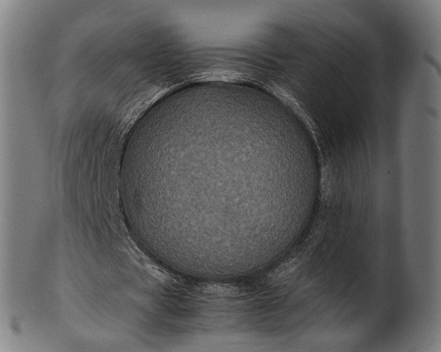 X0000101220529200807111059