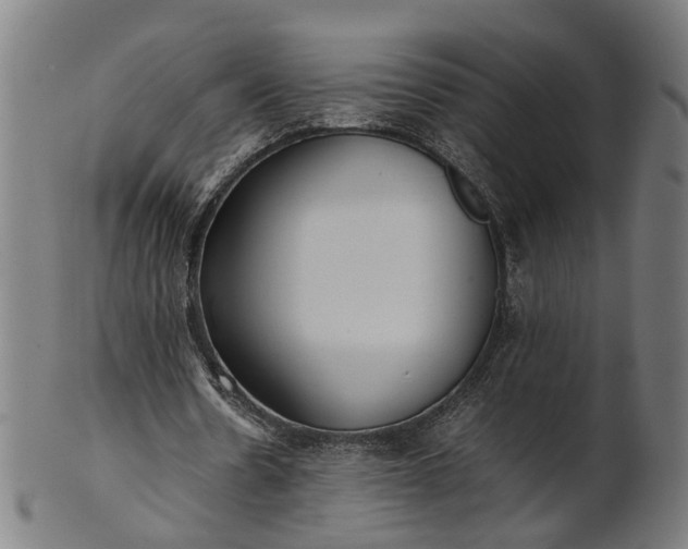 X0000101220530200807111059