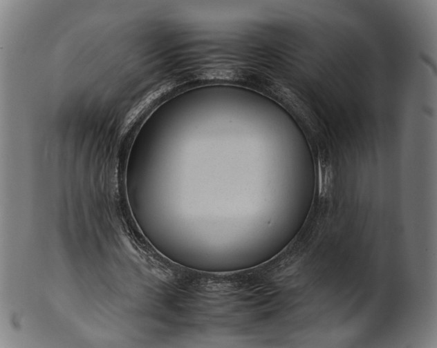 X0000101220531200807111059