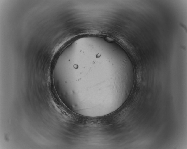X0000101220532200807111059