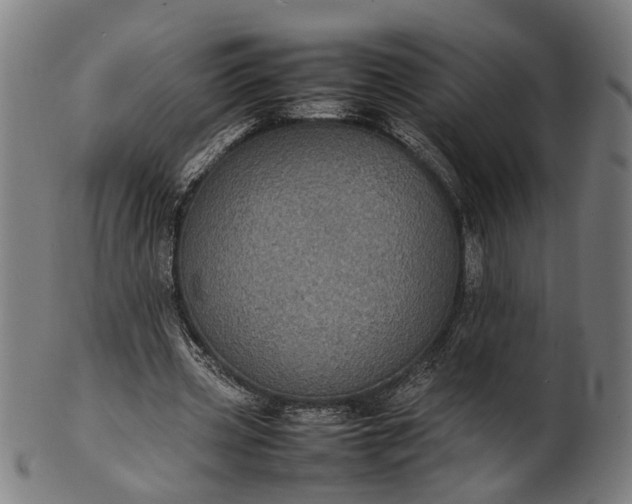 X0000101220533200807111059