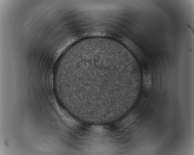 X0000101220534200807111059