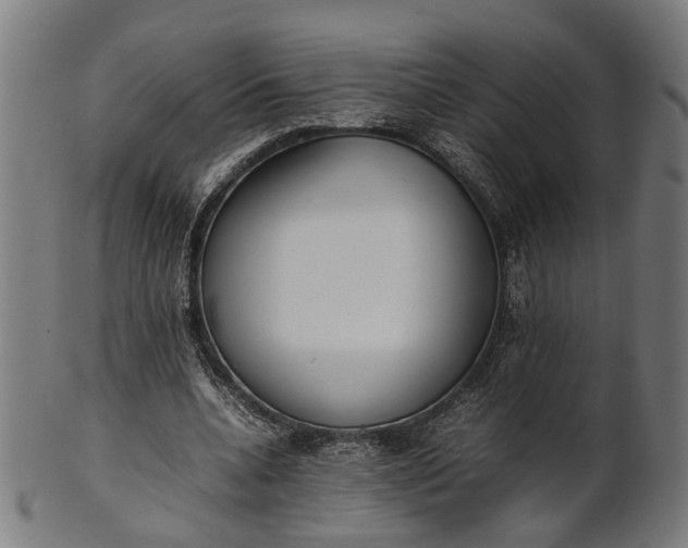 X0000101220536200807111059