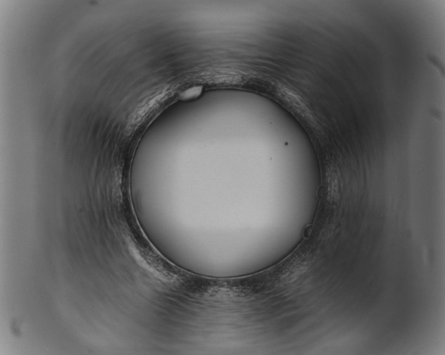 X0000101220538200807111059