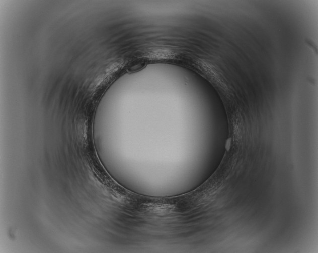 X0000101220539200807111059