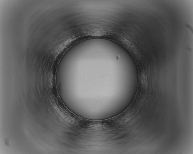 X0000101220540200807111059