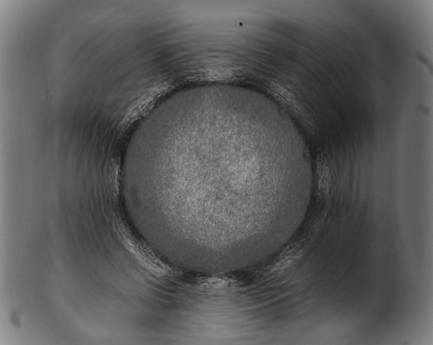 X0000101220542200807111059