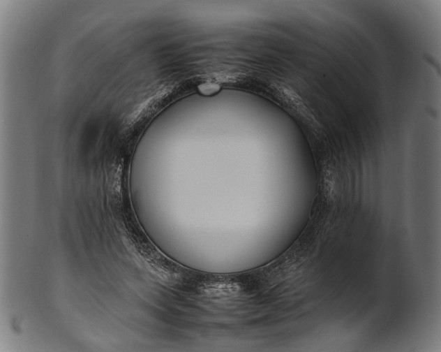 X0000101220543200807111059