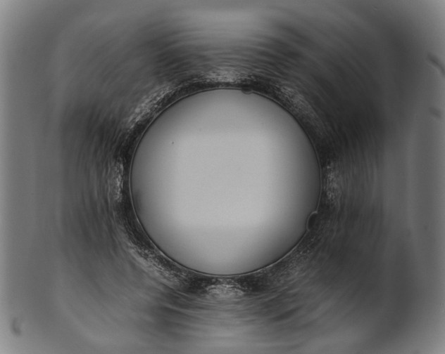 X0000101220544200807111059