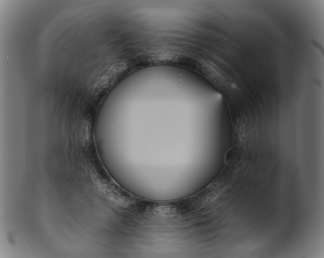 X0000101220546200807111059