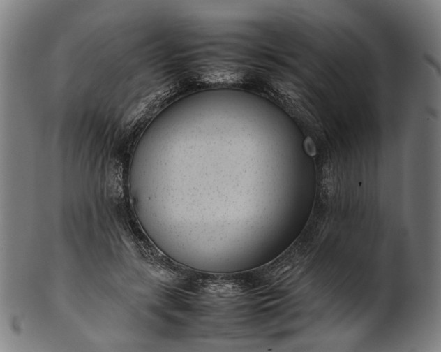 X0000101220547200807111059