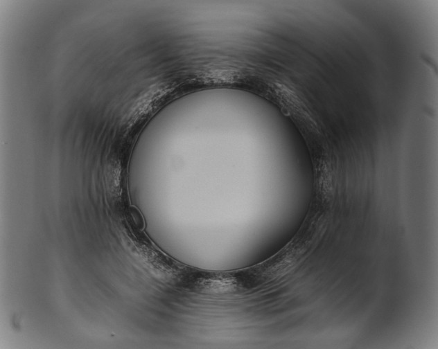 X0000101220548200807111059