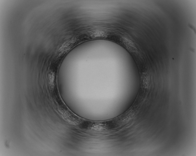 X0000101220550200807111059