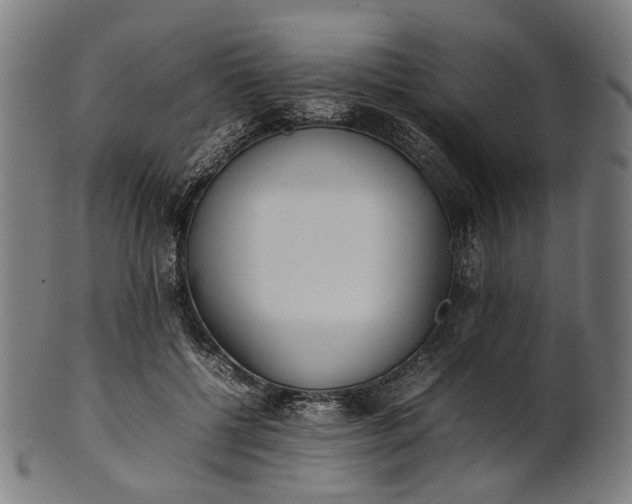X0000101220552200807111059