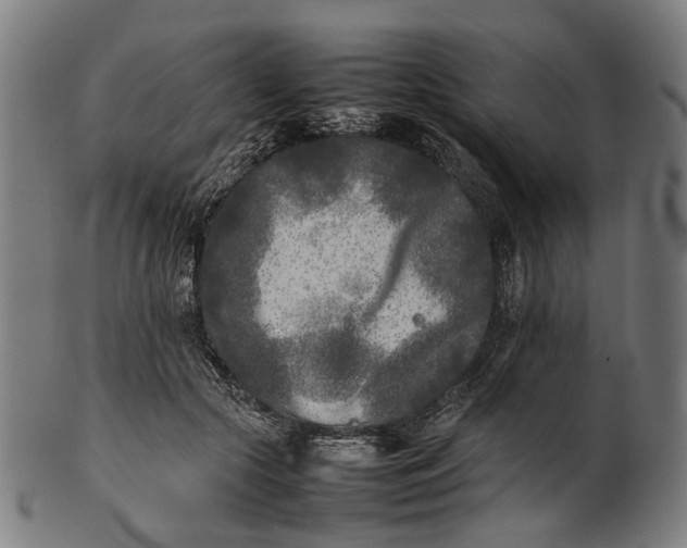 X0000101220553200807111059
