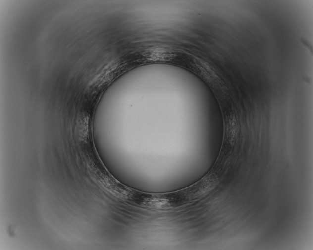 X0000101220554200807111059