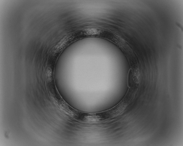 X0000101220556200807111059