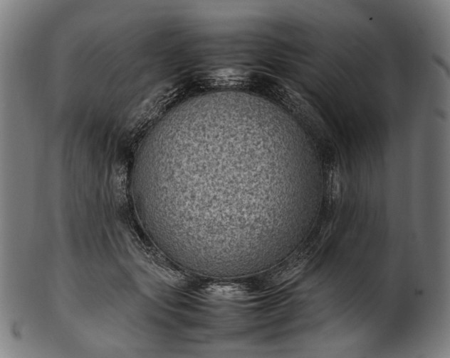 X0000101220557200807111059