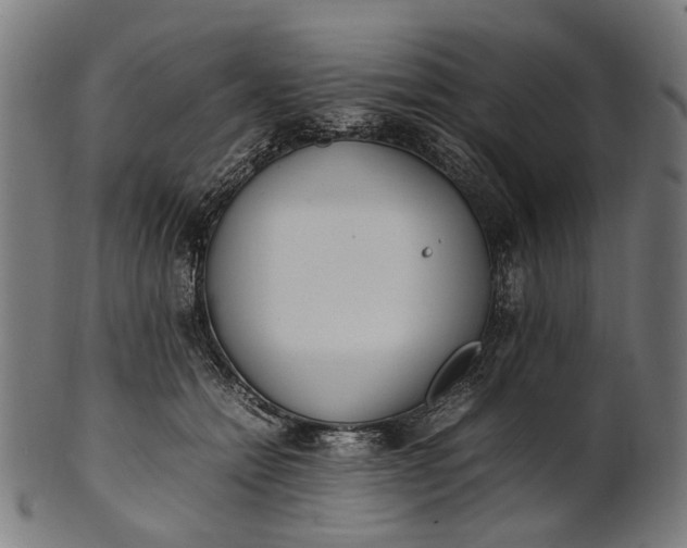 X0000101220558200807111059