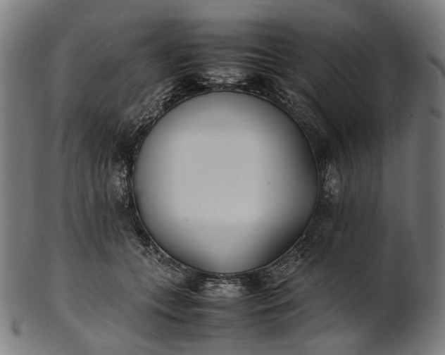 X0000101220559200807111059