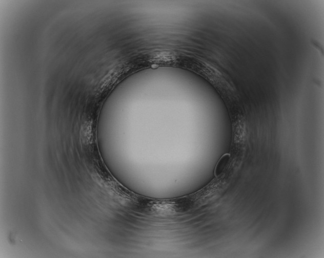 X0000101220560200807111059