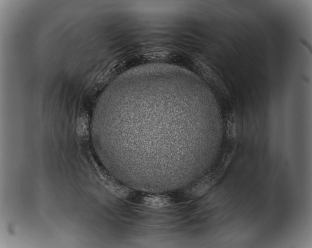 X0000101220561200807111059