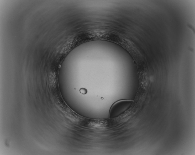 X0000101220563200807111059