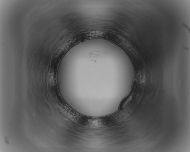 X0000101220564200807111059