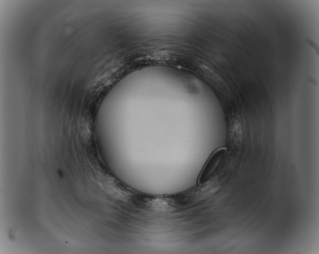 X0000101220566200807111059