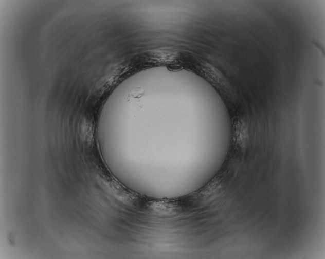 X0000101220568200807111059