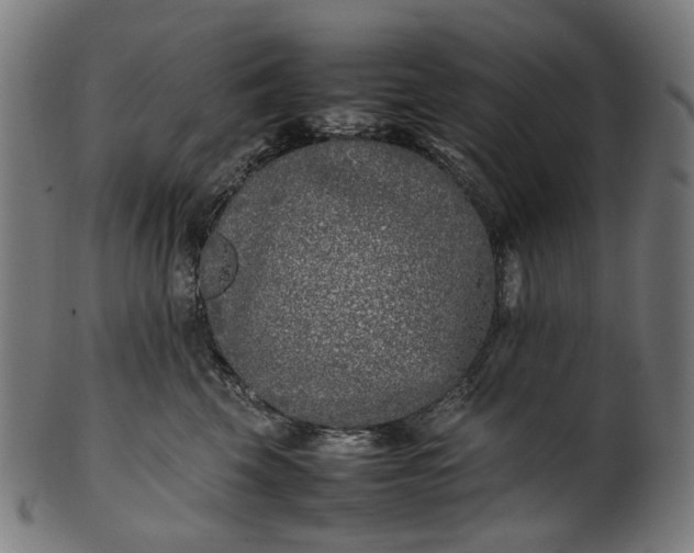X0000101220569200807111059