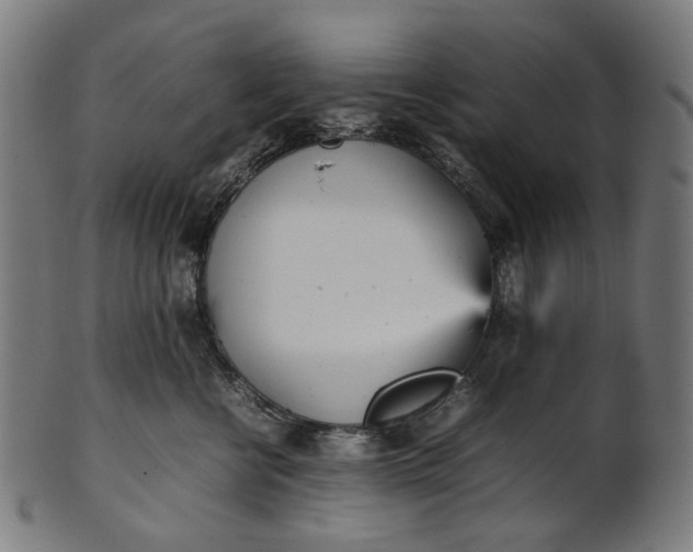 X0000101220570200807111059