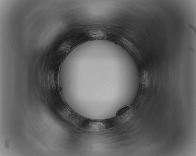 X0000101220572200807111059
