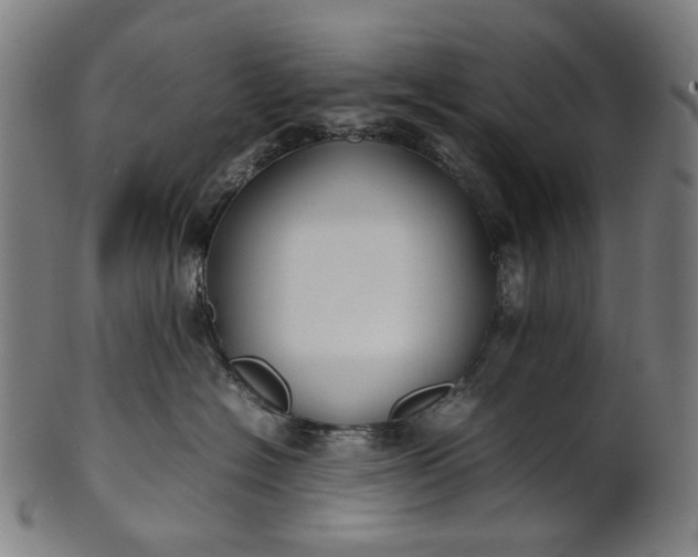 X0000101220574200807111059