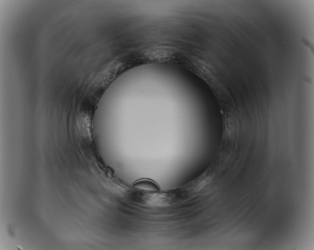 X0000101220575200807111059