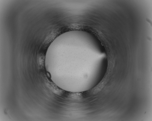 X0000101220576200807111059