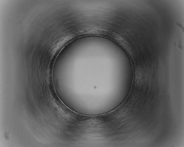 X0000101220578200807111059