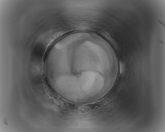 X0000101220579200807111059