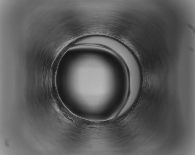 X0000101220580200807111059