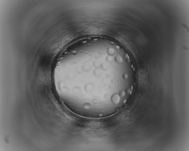 X0000101220581200807111059