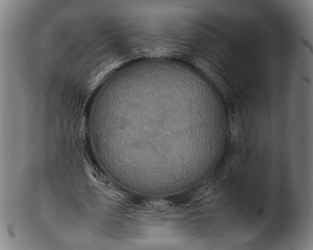 X0000101220583200807111059