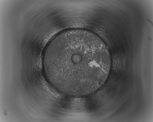 X0000101220584200807111059