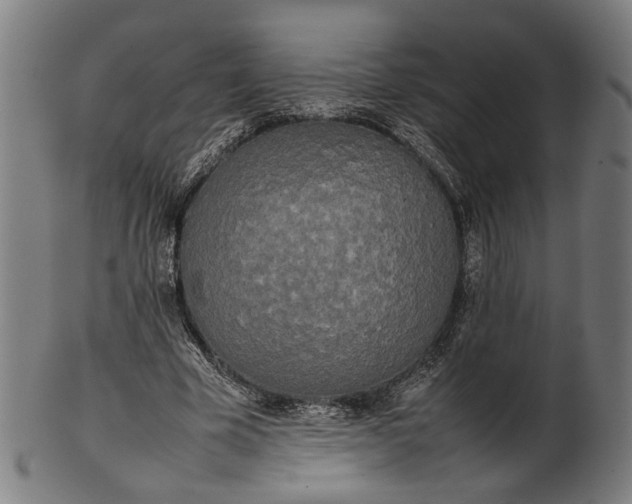 X0000101220585200807111059