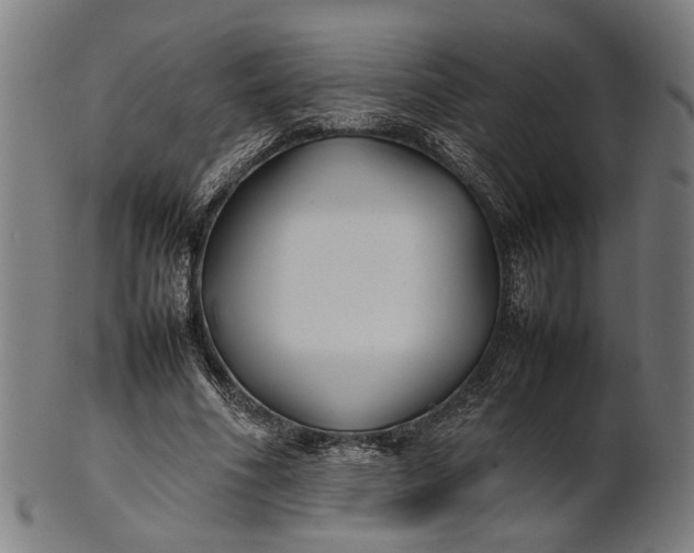 X0000101220586200807111058