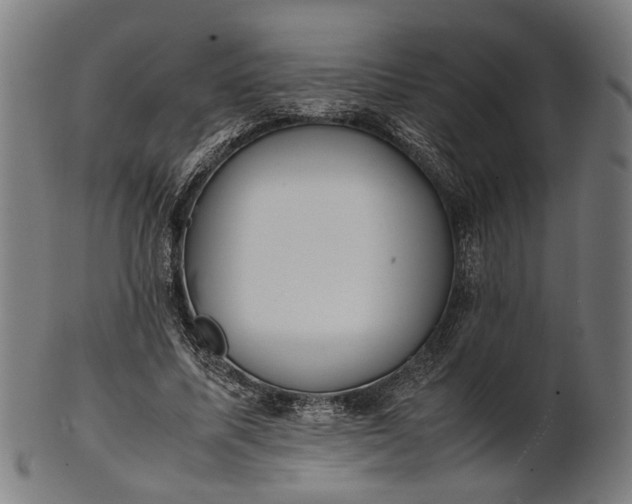 X0000101220587200807111058