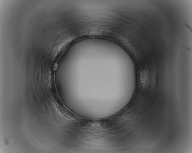 X0000101220588200807111058