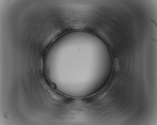 X0000101220589200807111058