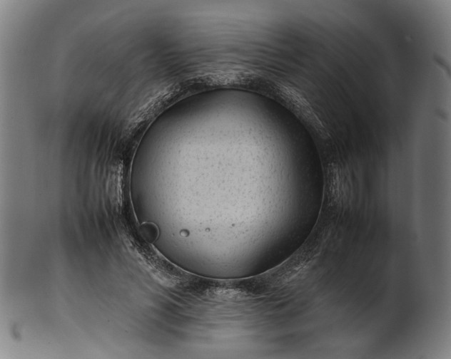 X0000101220590200807111058
