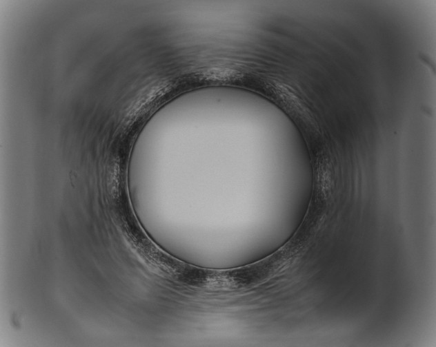 X0000101220591200807111058