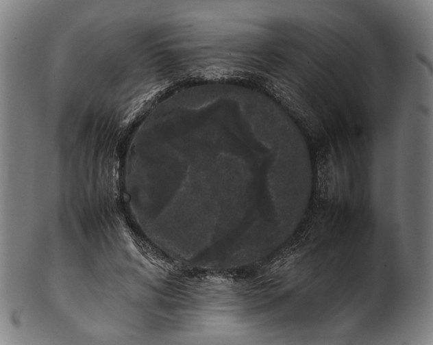 X0000101220592200807111058